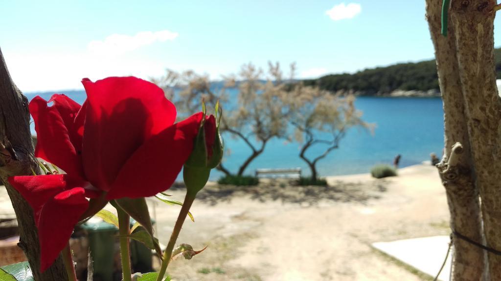 Apartments Linda Sestrunj Εξωτερικό φωτογραφία